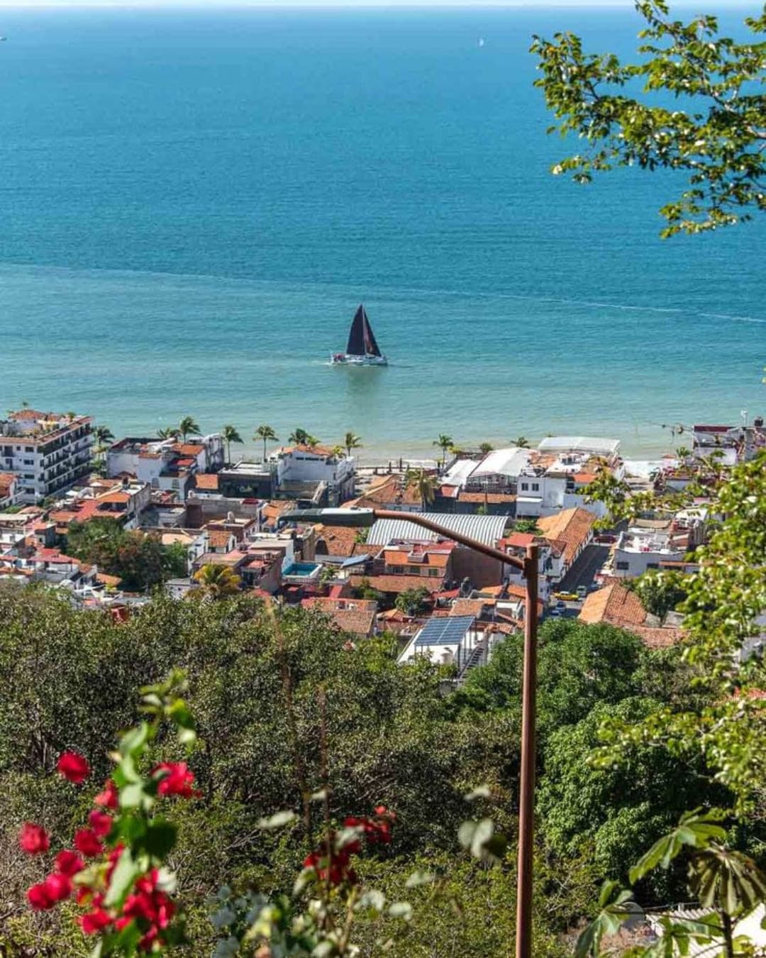 Gastronomía, arte y naturaleza: el encanto único de Puerto Vallarta